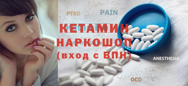 крисы Ельня