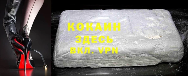 крисы Ельня
