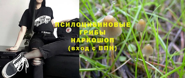 таблы Елизово