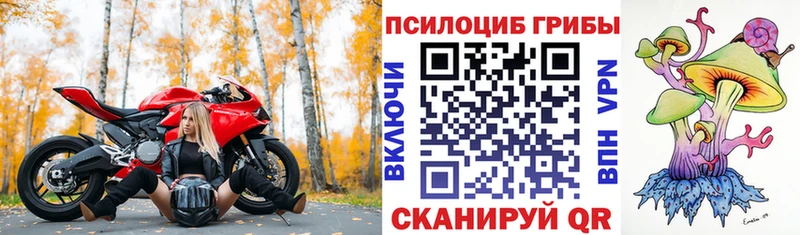 ссылка на мегу как войти  Зуевка  Галлюциногенные грибы мухоморы  где купить наркоту 